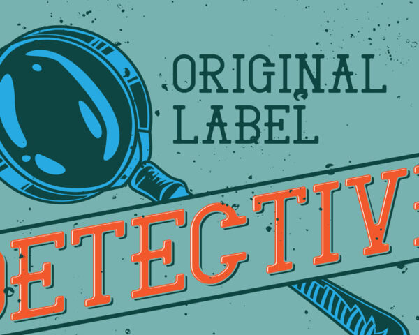 Uncover the truth with the best detectives in Bangalore