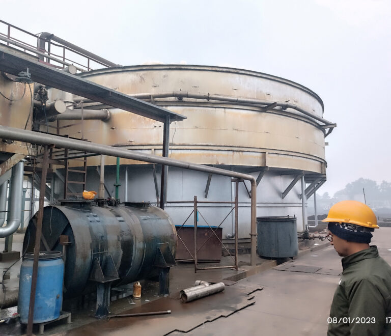 Comparing M.S., PP, and PPGL Tanks: Which is Right for You?