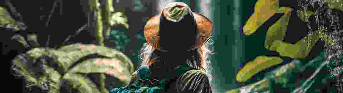 sca